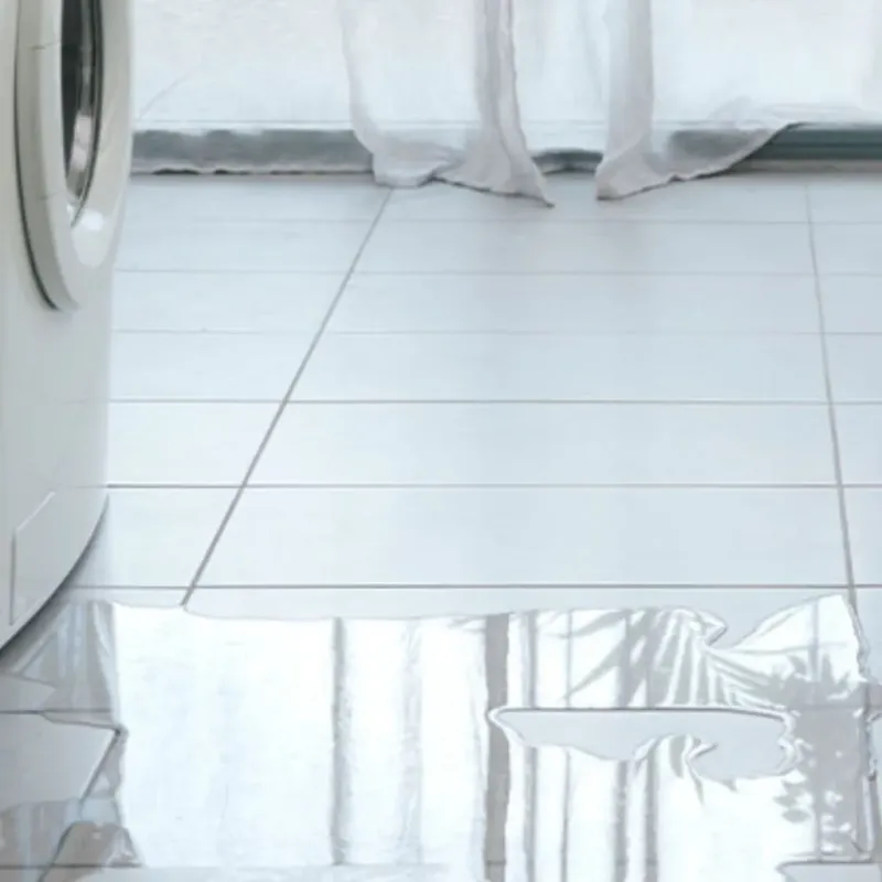 Appliance Leak Cleanup in Lawrence County, MS