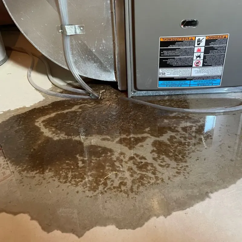 Pipe Burst and Leak Restoration in Lawrence County, MS