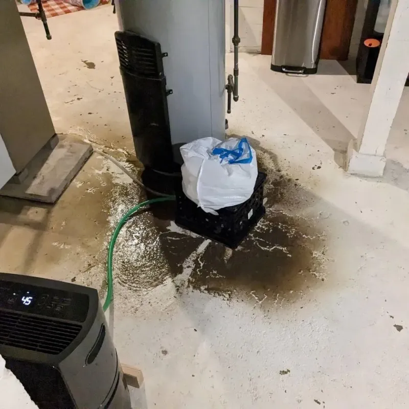 Sewage Backup Cleanup Service in Lawrence County, MS